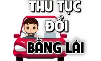 Bổ túc tay lái, tư vấn cấp đổi giấy phép lái xe các hạng
